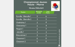 Championnat Jeunes départemental Débutant